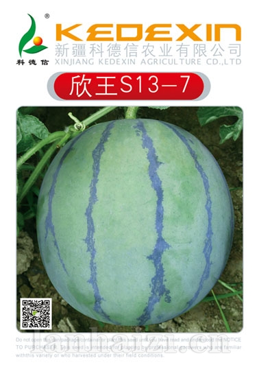 欣王s13-7