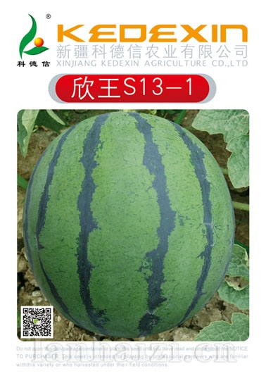 欣王s13-1