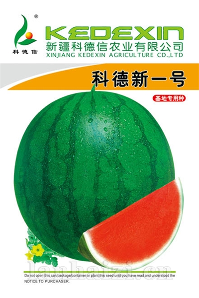 科德新一号
