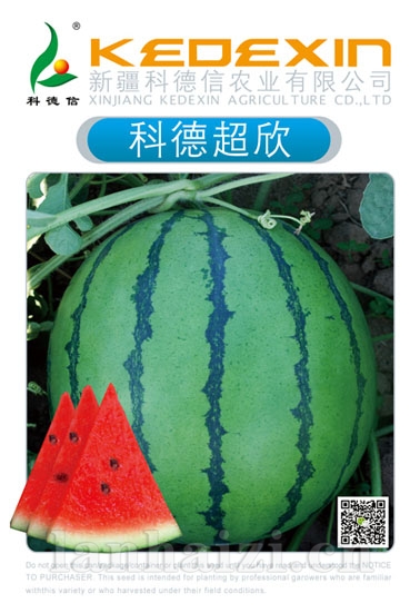 科德超欣