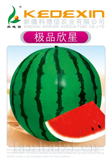 极品欣星