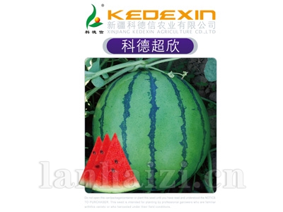 科德超欣