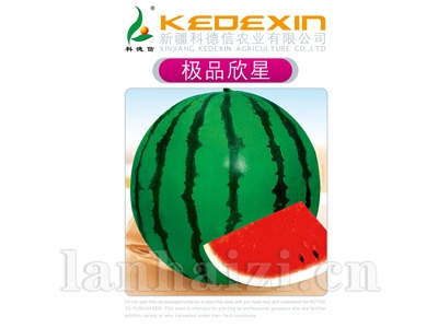 极品欣星