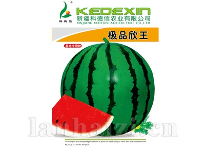 极品欣王