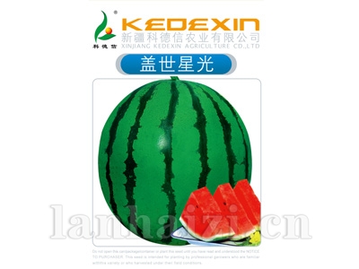 盖世星光