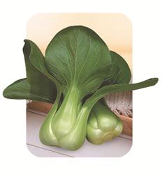 锦华--叶菜