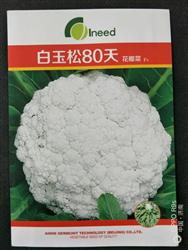 白玉松80天--西兰花
