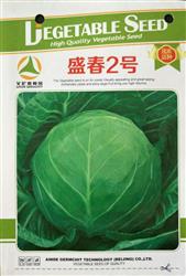 盛春2号--甘蓝