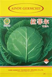 拉菲尔--甘蓝