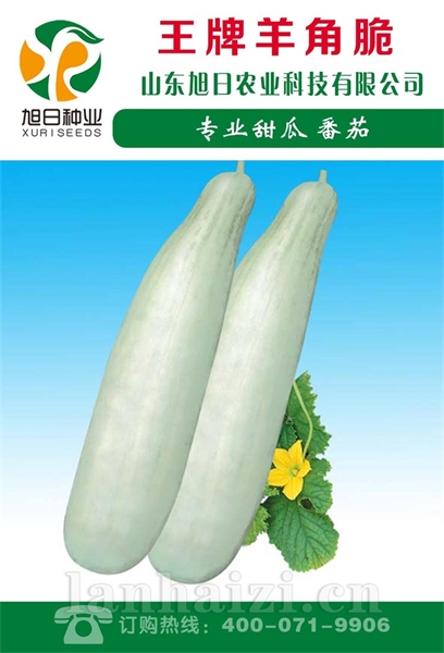 王牌羊角脆