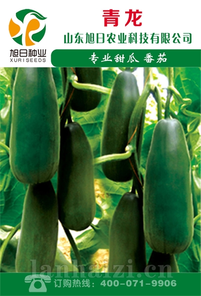 青龙