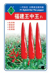 福建王中王