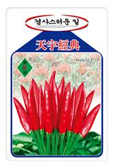天宇经典