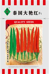 泰国大艳红