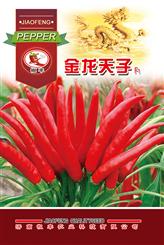 金龙天子