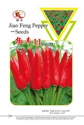 椒丰11
