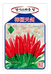 韩国天剑