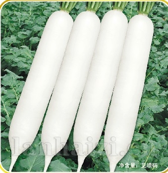 长玉春