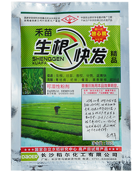 禾苗生根快发
