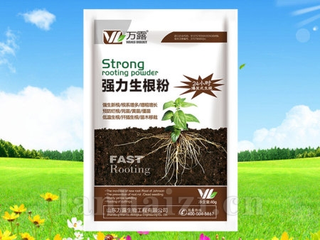 强力生根粉