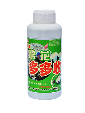 棉花多多收