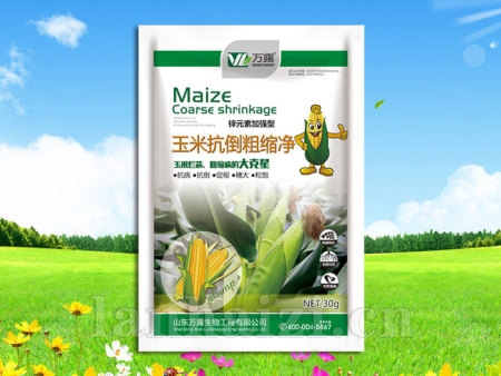 玉米抗倒粗缩净