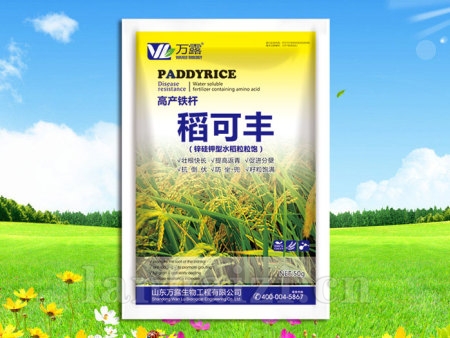 稻可丰