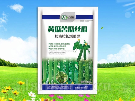 黄瓜苦瓜丝瓜