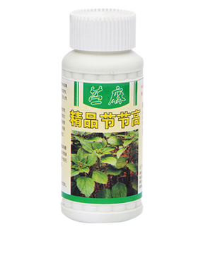 苎麻精品节节高