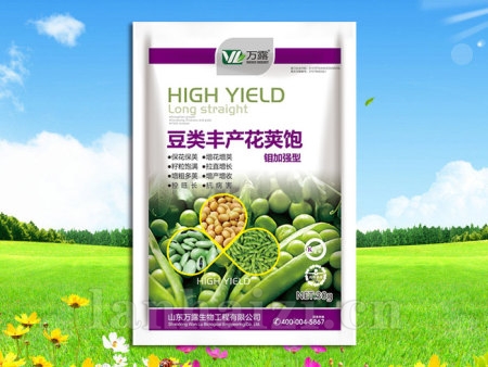 豆类丰产花荚饱