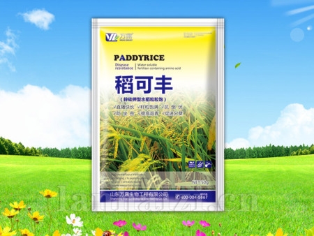 稻可丰