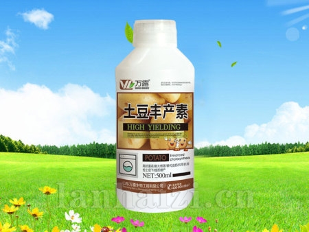 土豆丰产素