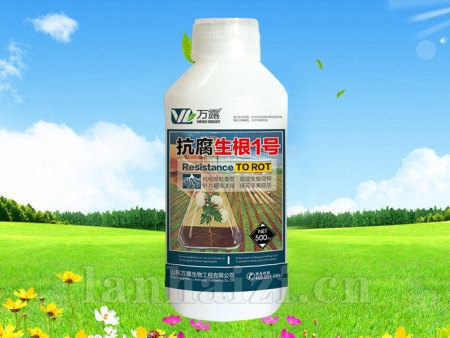 抗腐生根1号