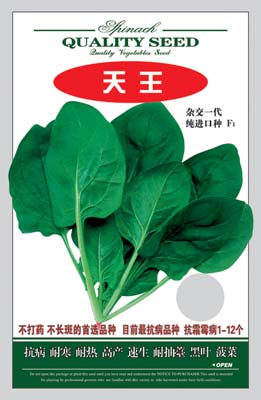 天王