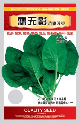 霜无影
