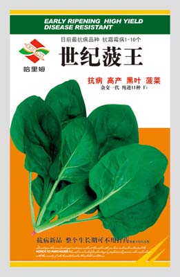 世纪菠王