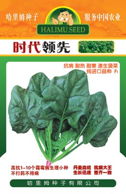 时代***