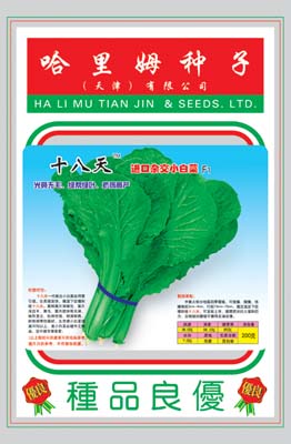 十八天