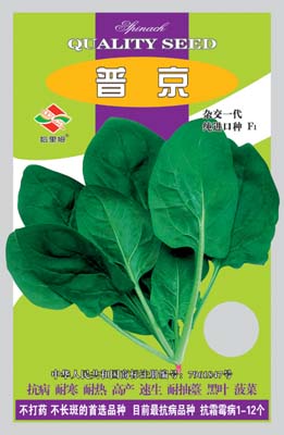普京