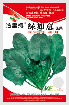绿如意