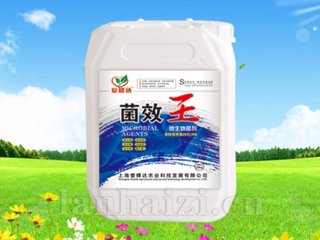 菌效王