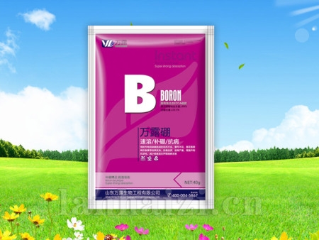 万露硼