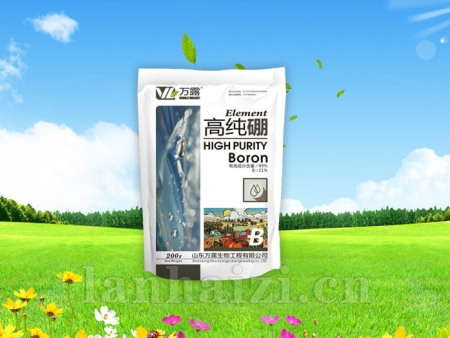 高纯硼