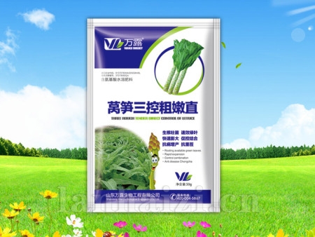 莴笋三控粗嫩直