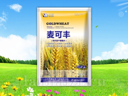 麦可丰