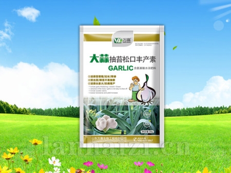 大蒜抽苔松口丰产素