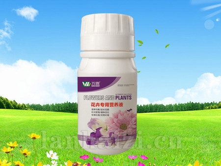 花卉专用营养液
