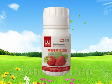 草莓丰产增红剂