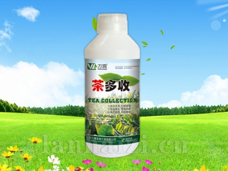 茶多收