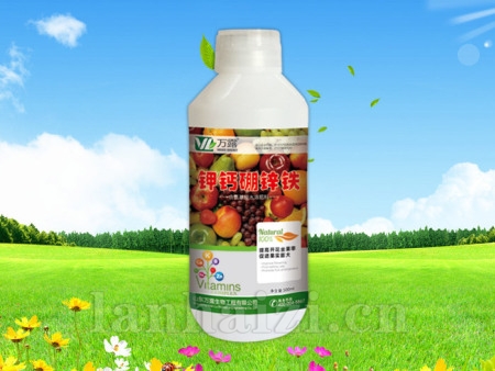 钾钙硼锌铁